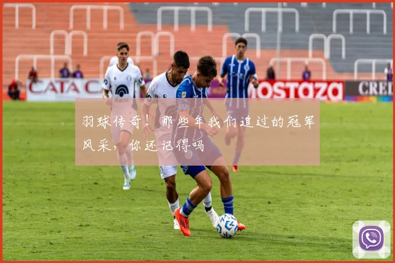 羽球传奇！那些年我们追过的冠军风采，你还记得吗
